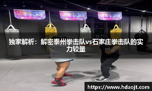 独家解析:解密泰州拳击队vs石家庄拳击队的实力较量